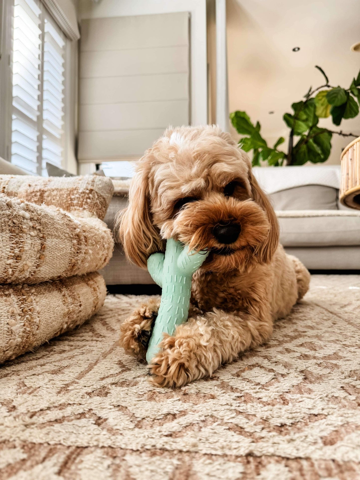 Cactus Chew Toy - Lowe + Ko.