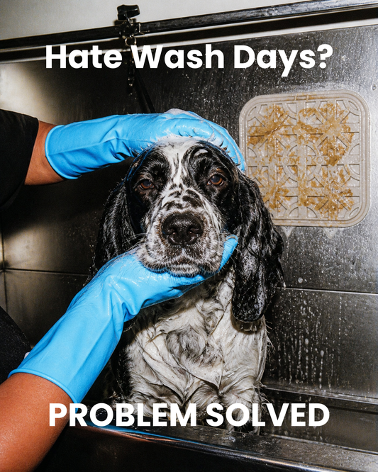 Dog Hates Bath Time? Try a Lick Mat | Lowe + Ko.