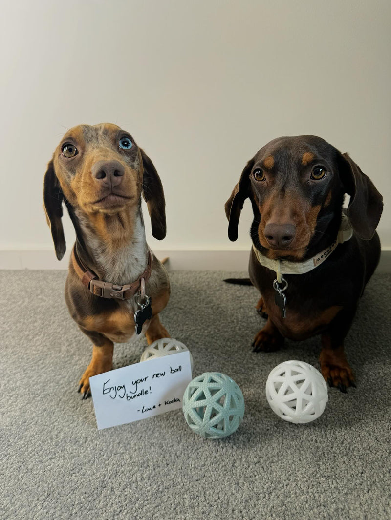 Ralph, Archie & Their Owner