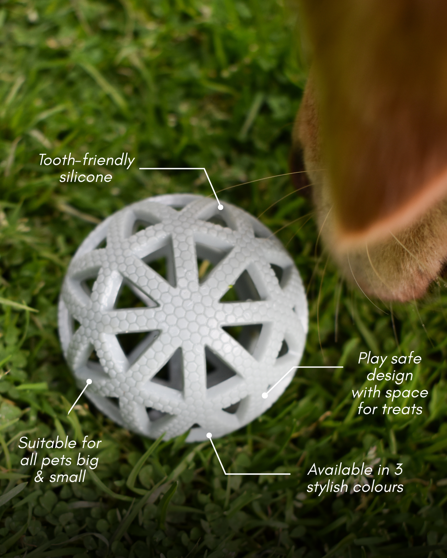 Breeze Ball Bundle