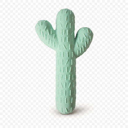 Cactus Chew Toy Bundle