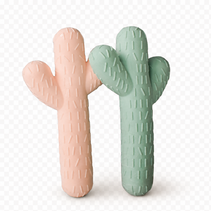 Cactus Chew Toy Bundle