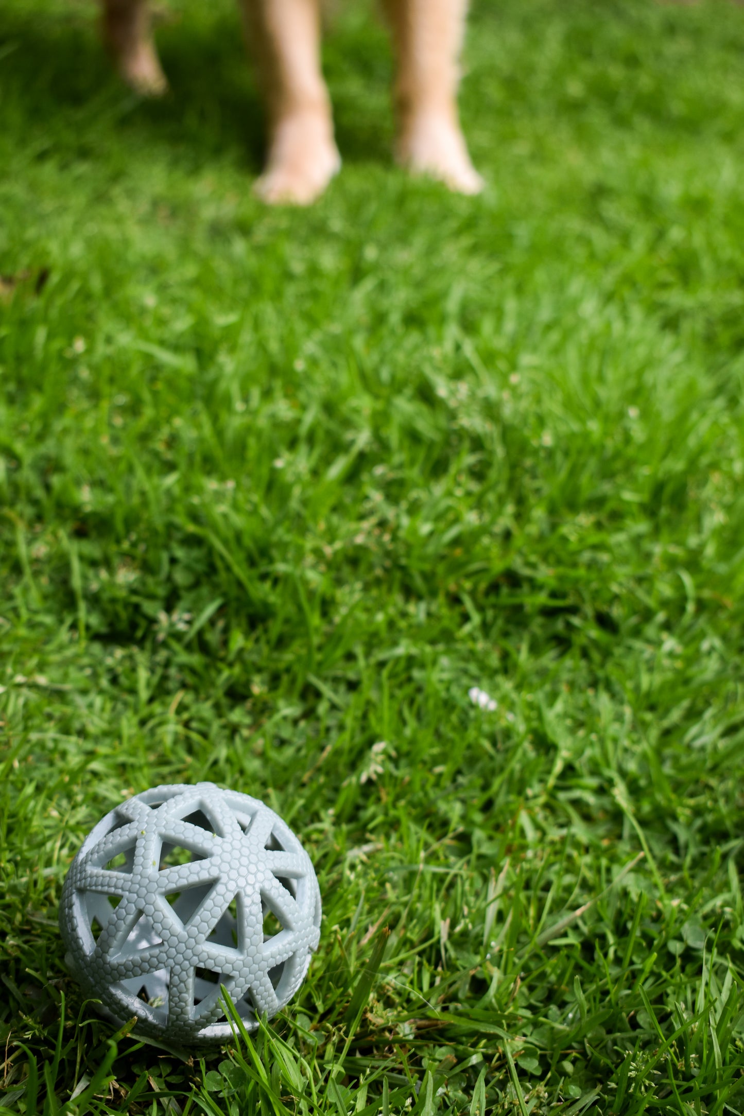 Breeze Ball Bundle