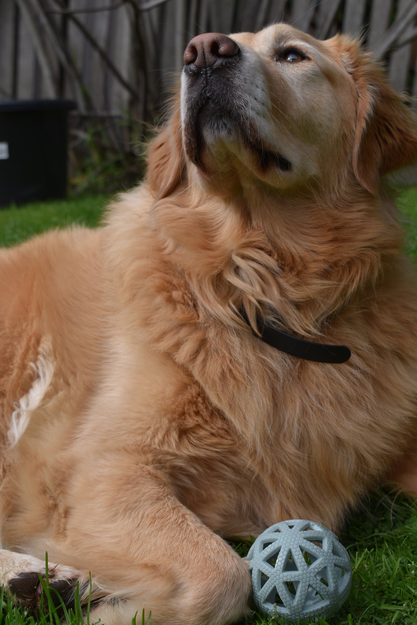 Breeze Ball Bundle