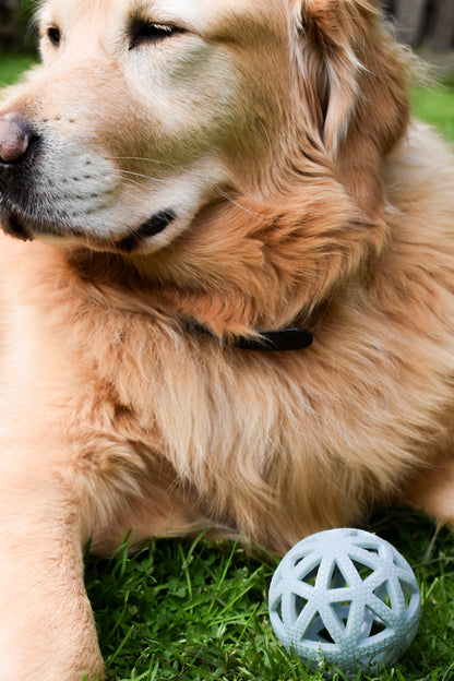Breeze Ball Bundle