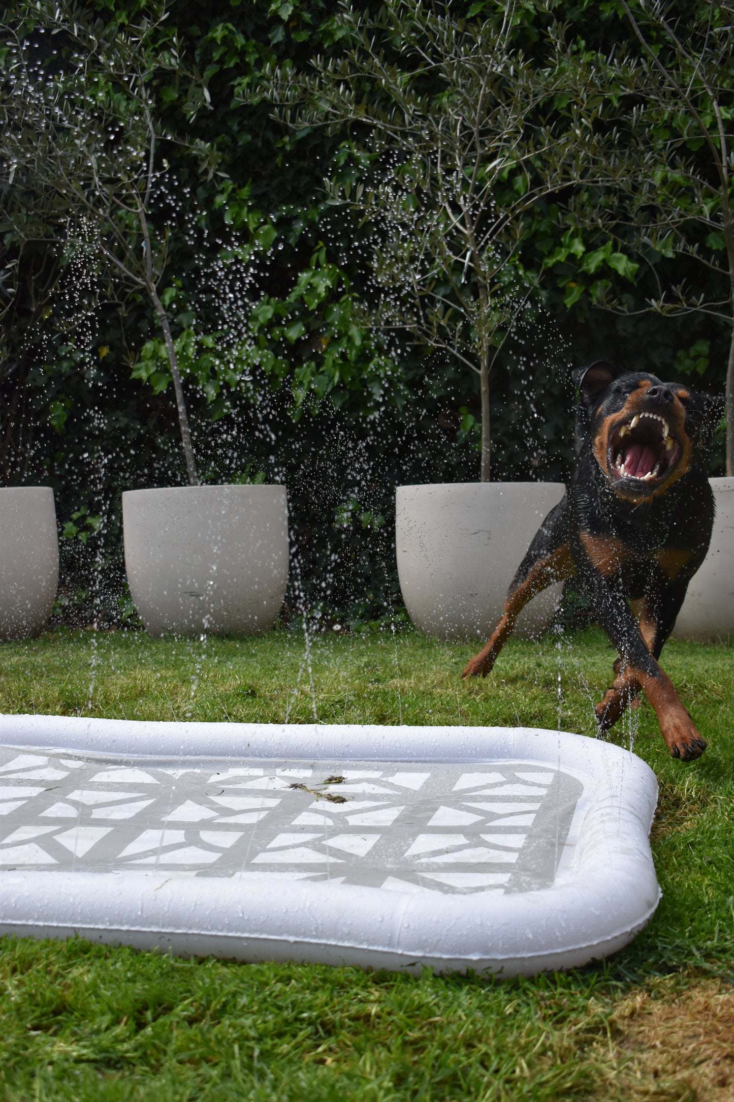 Splash Pool
