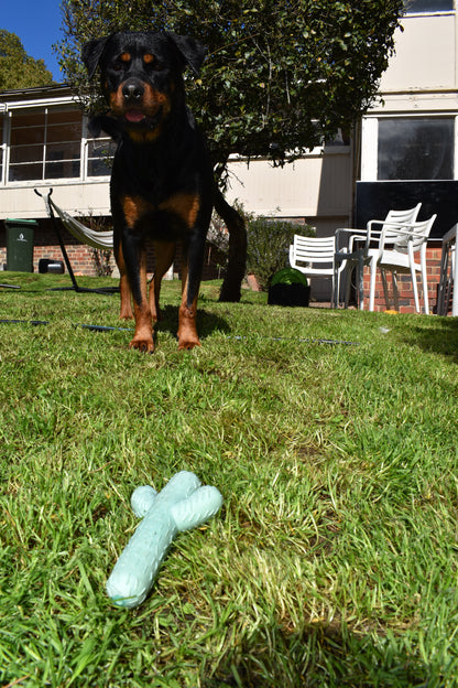 Cactus Chew Toy - Lowe + Ko.