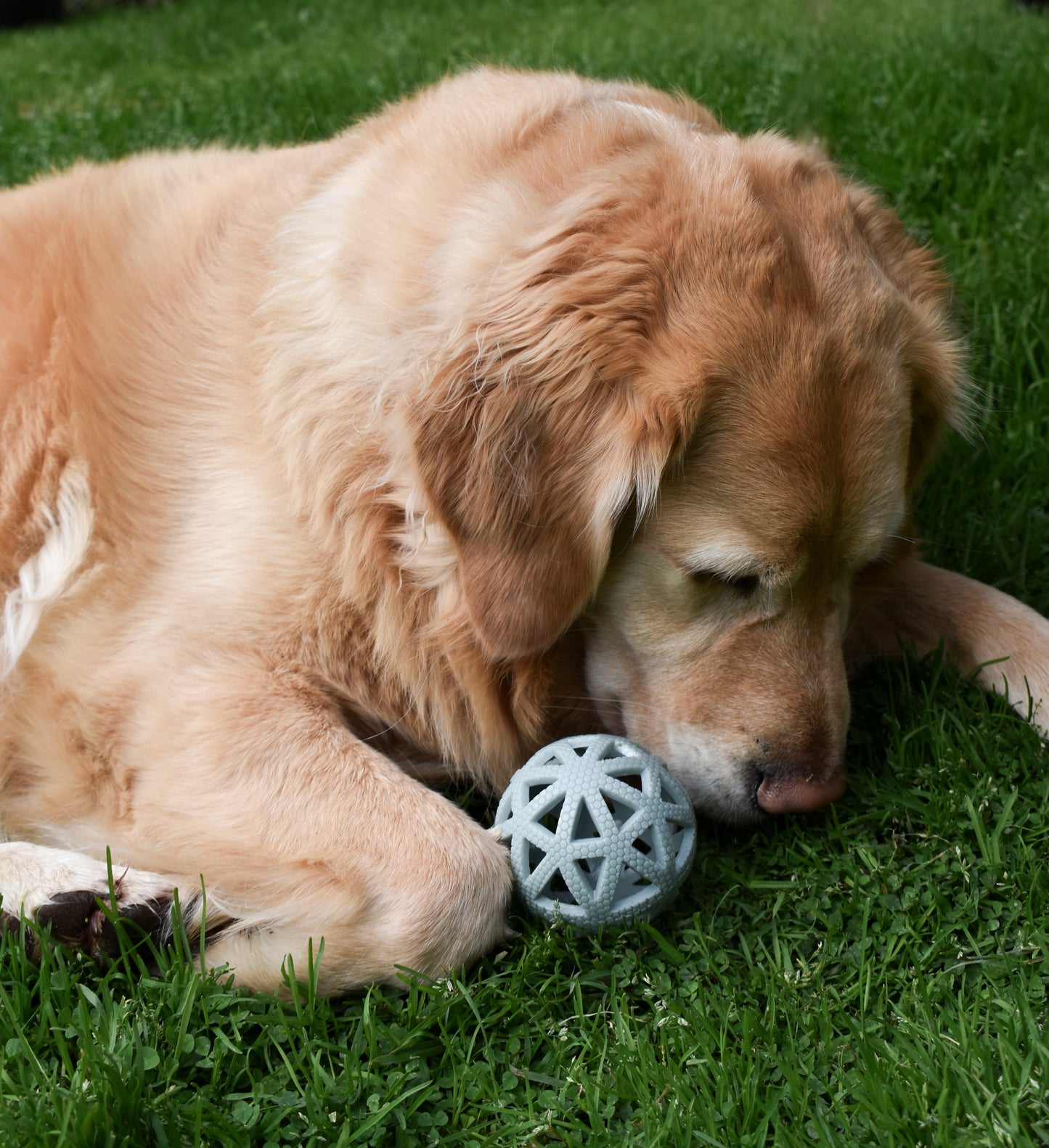 Breeze Ball Bundle