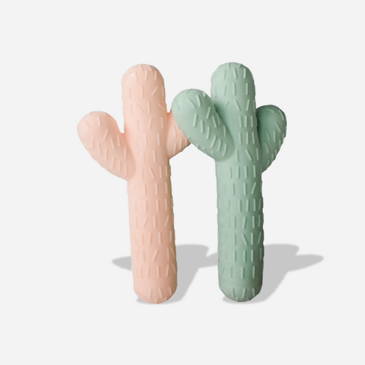 Cactus Chew Toy Bundle - Lowe + Ko.