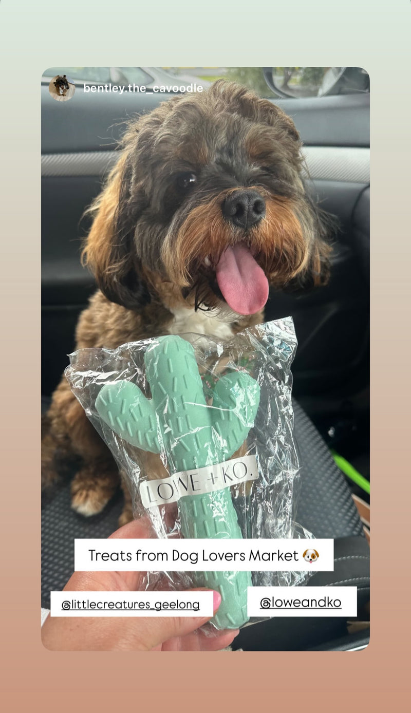Our Customer, Bentley