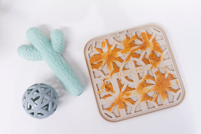 Cactus Chew Toy Bundle