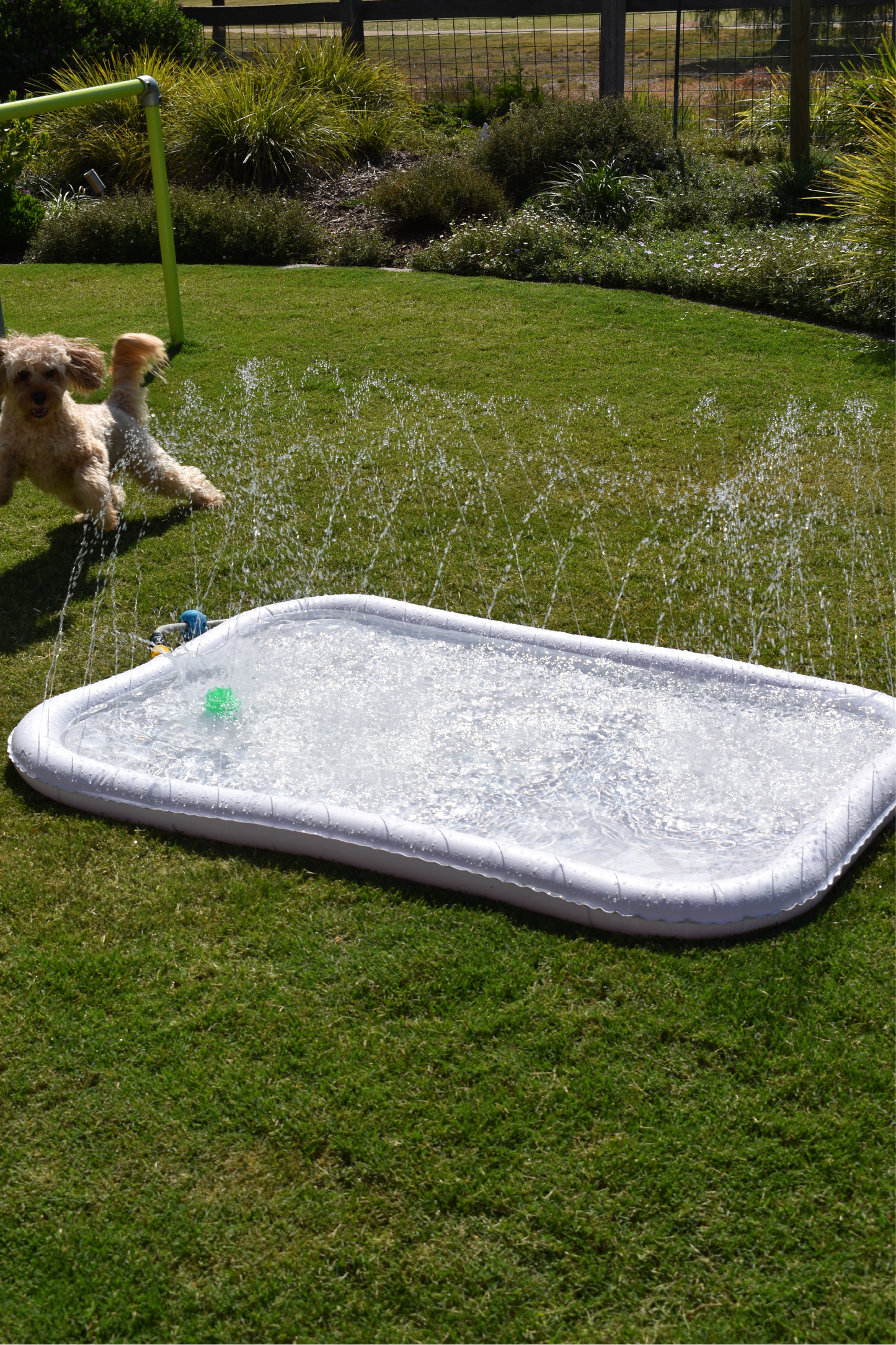 Splash Pool - Lowe + Ko.