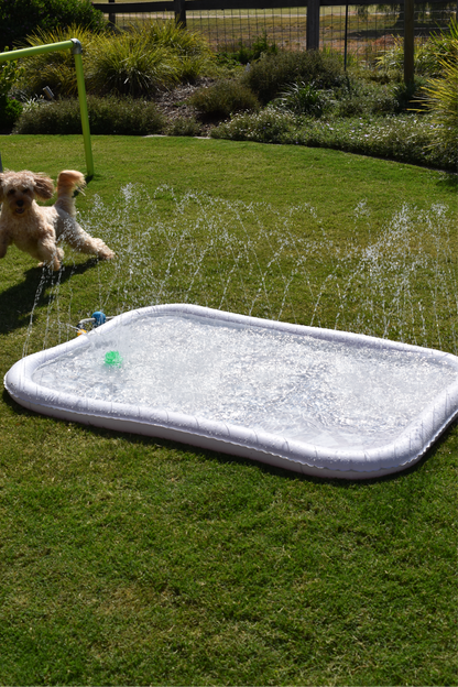 Splash Pool - Lowe + Ko.